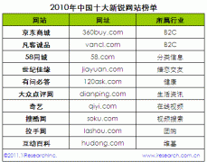 2010年中国十大新锐网站榜